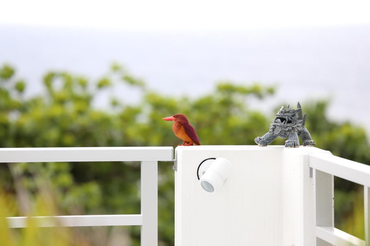 Blue Ocean Resort Ishigaki  Экстерьер фото